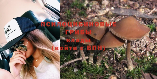 соль ск Вяземский