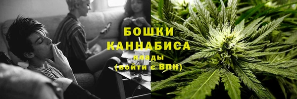 соль ск Вяземский