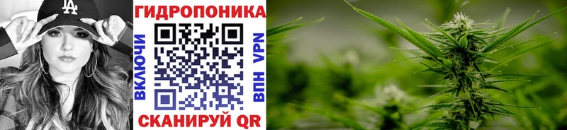 Марихуана OG Kush Пугачёв